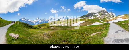 Sentiero escursionistico nei pressi di Bachalpsee sopra Grindelwald-First con vista sulle montagne, tra cui l'Eiger, la regione dello Jungfrau, le Alpi dell'Oberland Bernese, la Svizzera Foto Stock