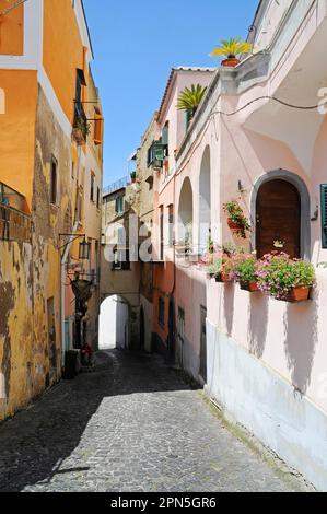 Piccolo vicolo, Terra Murata, Isola di Procida, Golfo di Napoli, Campania, Italia Meridionale, Italia Foto Stock