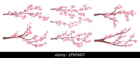 Ramoscelli sakura in fiore di ciliegio con collezione di fiori rosa. Elegante pianta di rami in fiore giapponese con set di fiori. Fioritura di ciliegi decorativi primavera cinesi asiatici. Illustrazione vettoriale orientale Illustrazione Vettoriale