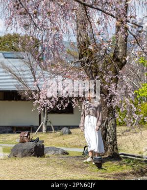 Fujinomiya-città, Giappone - 22 marzo 2023: Persone che godono di Sakura fiorisce nel santuario Fujisan Hongu Sengen Taisha. Foto Stock