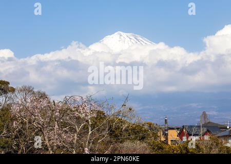 Fujinomiya, Shizuoka, Giappone, vista del Monte Fuji nuvoloso in primavera Foto Stock