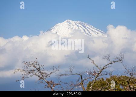 Fujinomiya, Shizuoka, Giappone, vista del Monte Fuji nuvoloso in primavera Foto Stock