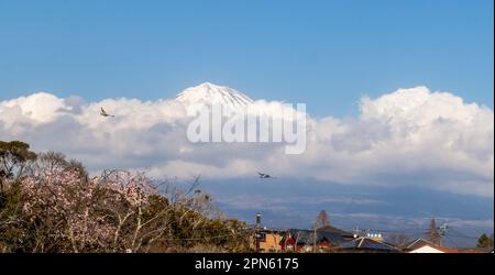 Fujinomiya, Shizuoka, Giappone, vista del Monte Fuji nuvoloso in primavera Foto Stock