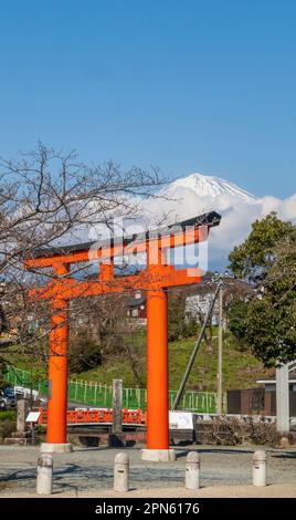 Fujinomiya-città, Giappone - 22 marzo 2023: Vista del Monte Fuji e dei fiori Sakura nuvolosi dal santuario Fujisan Hongu Sengen Taisha. Foto Stock