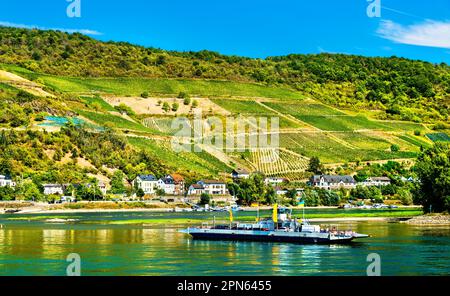 Traghetto auto attraverso il Reno da Niederheimbach a Lorch in Assia e Renania-Palatinato, Germania Foto Stock