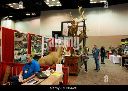 INDIANAPOLIS, INDIANA - 15 APRILE: La fauna selvatica e' in mostra nell'area degli outfitters durante le riunioni annuali e le mostre della National Rifle Association presso l'Indiana Convention Center il 15 Aprile 2023 ad Indianapolis, Indiana. Il convegno, che si prevede attirerà circa 70.000 ospiti, è stato aperto venerdì. (Foto di Jeremy Hogan/The Bloomingtonian) Foto Stock