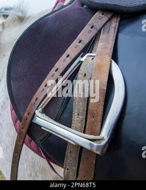Cavallo con sella. Staffa e cinghie in primo piano Foto Stock