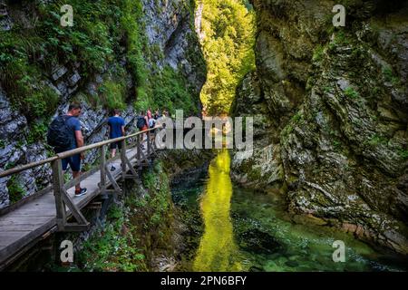 La Gola di Vintgar nel Parco Nazionale del Triglav, Slovenia. Paesaggio panoramico con persone su un sentiero in legno sopra il fiume di montagna Radovna e la luce solare stretta Ref Foto Stock