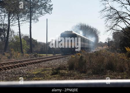 Primo giorno 2023 Servizio Swanage Railway Wareham Foto Stock