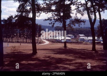 Shillong è una stazione in collina dell'India nord-orientale e capitale dello stato di Meghalaya. E' conosciuta per i giardini curati del Parco Lady Hydari. Come la capitale di Meghalaya (la sede delle nuvole) si trova su un altopiano circondato da colline con un clima molto confortevole durante tutto l'anno. Foto Stock