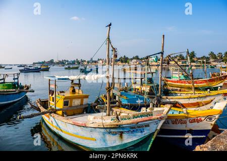 Barche da pesca nel porto, Jaffna, Sri Lanka Foto Stock