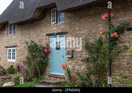 Grazioso cottage in pietra con tetto in paglia con rose che crescono intorno a una porta blu, Stoke Bruerne, Northamptonshire, Regno Unito Foto Stock