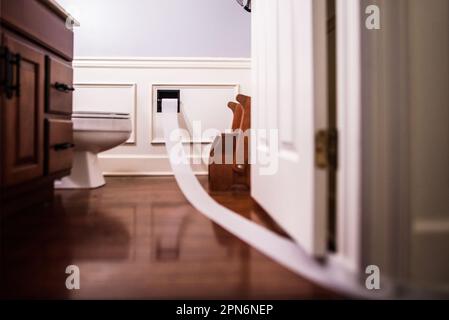 Carta igienica srotolata e fuori dalla porta del bagno Foto Stock