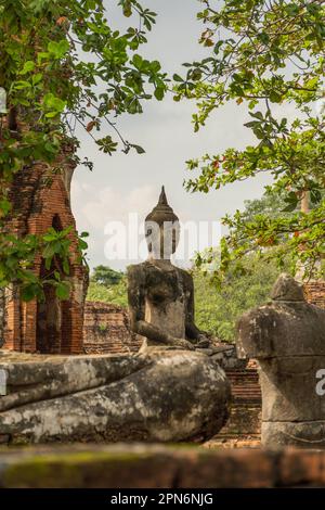 Immagine di Buddha nel tempio di Wat Mahathat Foto Stock