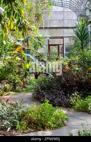 Dunfermline Glass House a Pittencrieff Park, Fife. Foto Stock