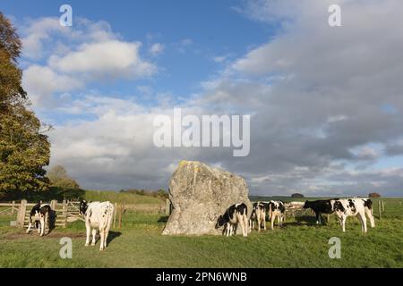 Avebury henge e cerchi di pietra il 11th novembre 2022 ad Avebury, Wiltshire, Inghilterra. Credit: Notizie SMP Foto Stock
