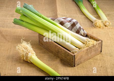 Una scatola di legno riempita con porri appena raccolti in grappoli. Foto Stock