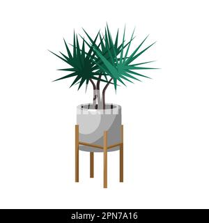 Dracaena in pentola per la casa o l'ufficio flat vettoriale illustrazione Illustrazione Vettoriale