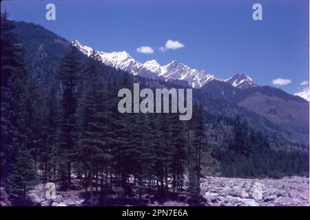 Manali è una località turistica ad alta quota dell'Himalaya, nello stato settentrionale dell'Himachal Pradesh. Ha una reputazione come centro di backpacking e destinazione di luna di miele. Situato sul fiume Beas, Foto Stock