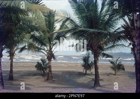 Il villaggio è famoso per le sue tre spiagge immacolate con acque poco profonde e verdi dal mare che si fondono nella maestosa mezzaluna rocciosa. Sinonimo di palme da cocco fiancheggiate che adornano ulteriormente il villaggio, Kovalam affettuosamente è anche conosciuto come il “boschetto di palme da cocco”. Una spiaggia molto incontaminata che offre un'atmosfera serena. Ideale per la famiglia e gli amici per trascorrere del tempo di qualità sulla spiaggia. L'alba e il tramonto sono i migliori. Foto Stock