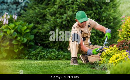 Paesaggista caucasico professionista che esegue la manutenzione stagionale del giardino. Sfondo verde con Copia spazio a sinistra. Foto Stock