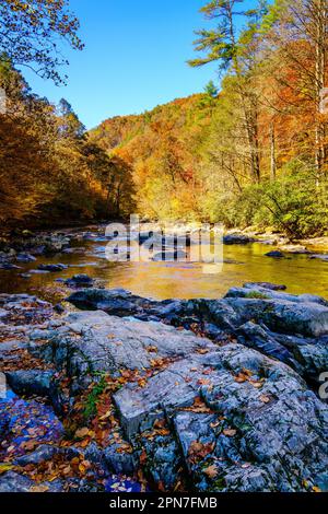 Vista panoramica del Big Laurel Creek nel North Carolina in autunno Foto Stock