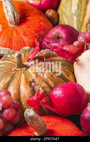 Sfondo autunnale con frutta e verdura di stagione, vista dall'alto, piatto. Felice concetto del Ringraziamento Foto Stock