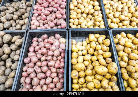 Patate biologiche fresche di varie varietà in scatole di plastica sono venduti in un supermercato Foto Stock