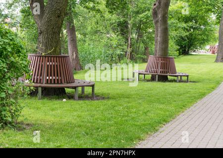 Panca intorno alla quercia nel parco. Foto Stock