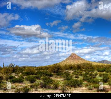Il deserto di sonora nell'Arizona centrale degli Stati Uniti Foto Stock