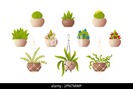 Piante in pentole e piantatrici pendenti set di illustrazioni vettoriali Illustrazione Vettoriale