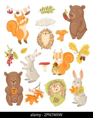 Carino foresta animale cartoni animati set di illustrazioni vettoriali caratteri Illustrazione Vettoriale