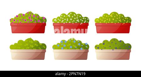 Piante verdi in coloratissime scatole di fiori set di illustrazioni vettoriali Illustrazione Vettoriale
