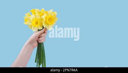 Bouquet di fiori di narcisi gialli, campane di Pasqua isolate su sfondo blu. Fiori primaverili in fiore. Mockup, modello per le vacanze, compleanno Foto Stock