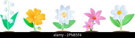 Fiori da giardino 3D elementi, fiori realistici con foglie in terra. Elementi floreali isolati, fioriture chamomile nevrop set vettore Illustrazione Vettoriale