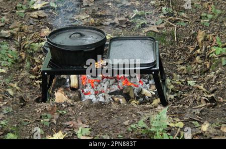 Cucinare su un fuoco di legno aperto in un ambiente di legno. Foto Stock