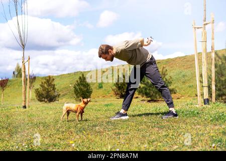 Uomo cani proprietario giocare e allenare il suo cane giro razza Toy Terrier, mentre camminando nel parco. Foto Stock