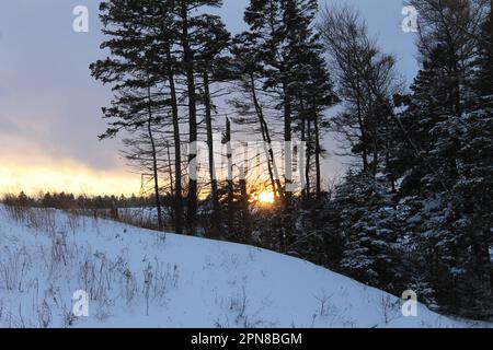 Sun setting behind snow covered trees and a snow covered hill, winter. Foto Stock