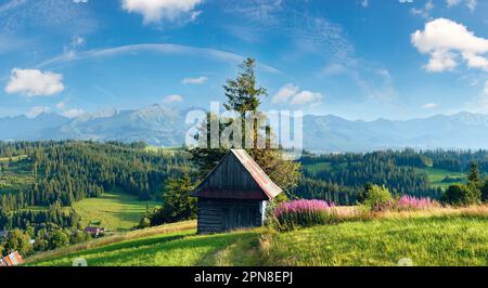 Periferia estiva villaggio di montagna con fiori rosa e capannone di legno di fronte e Tatra gamma dietro (Gliczarow Gorny, Polonia). Foto Stock