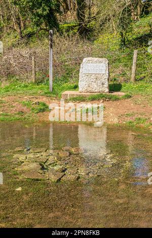 La pietra che segna la fonte del Tamigi a Tamigi testa sul Cotswolds vicino a Kemble, Gloucestershire, Inghilterra UK Foto Stock