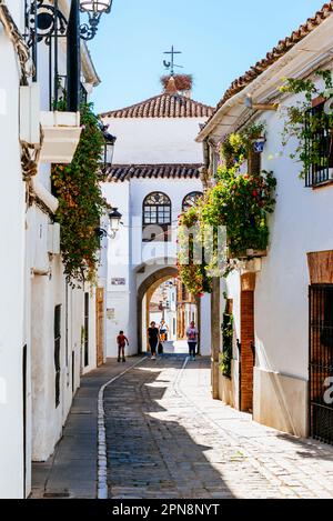 Jerez Street e Arco de Jerez sullo sfondo. Vista intramurale, l'Arco di Jerez, arco di Jerez, di Zafra è l'unica porta che è stata conservata Foto Stock