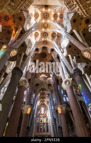 L'interno della Basilica della Sagrada Familia a Barcellona, Spagna Foto Stock