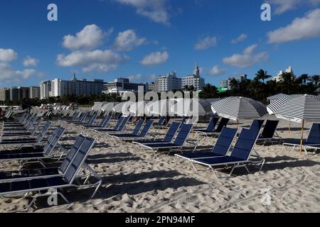 Sedie a sdraio allineate la mattina in un hotel resort a Miami Beach. Miami, Florida, Stati Uniti. Foto Stock