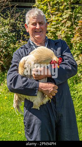 contadino e il suo cockerel animale domestico Foto Stock