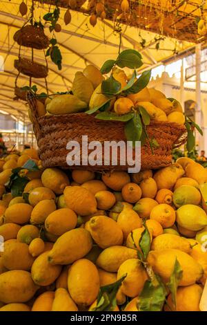 Green Grocer Shop in Tunisia: Una fresca esperienza di mercato. Foto Stock