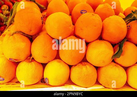 Green Grocer Shop in Tunisia: Una fresca esperienza di mercato. Foto Stock