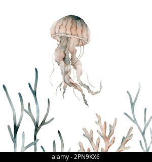 Bella composizione subacquea con acquerello marino vita medusa, alghe, corallo . illustrazione. Foto Stock