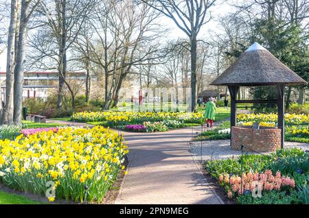 Campo di fiori, Giardini Keukenhof, Lisse, Olanda del Sud (Zuid-Holland), Regno dei Paesi Bassi Foto Stock