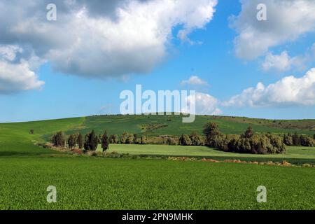 Alla scoperta della campagna che circonda Mateur in Tunisia Foto Stock