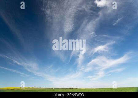 Vista panoramica del paesaggio della prateria canadese sotto un cielo blu profondo e suggestivo nella contea di Rocky View, Alberta Canada. Foto Stock